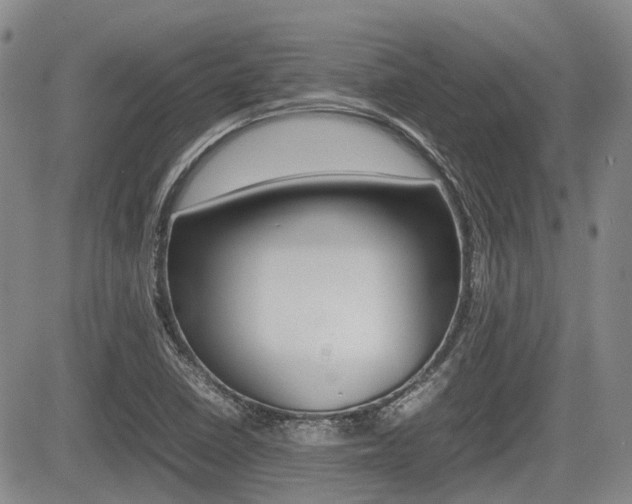 X0000085751410200703160826