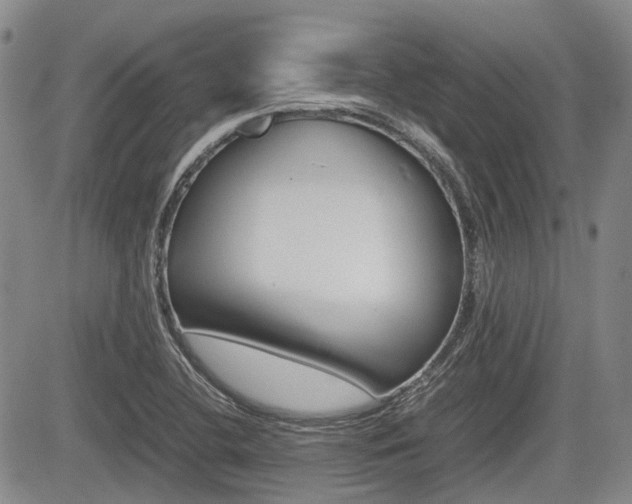 X0000085751412200703160826