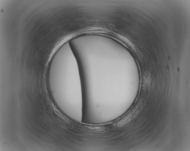 X0000085751413200703160826