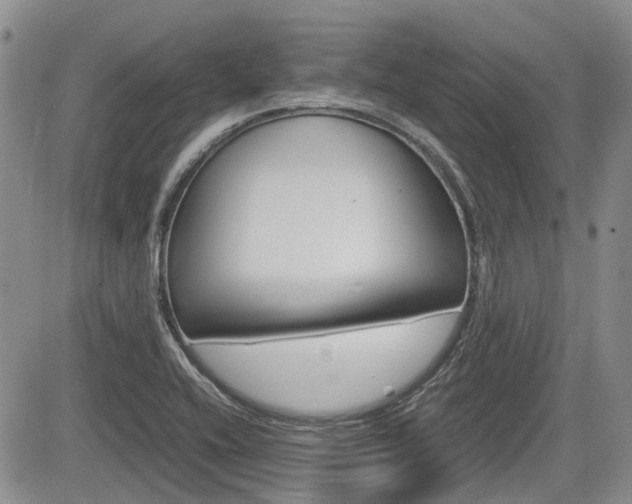 X0000085751416200703160826