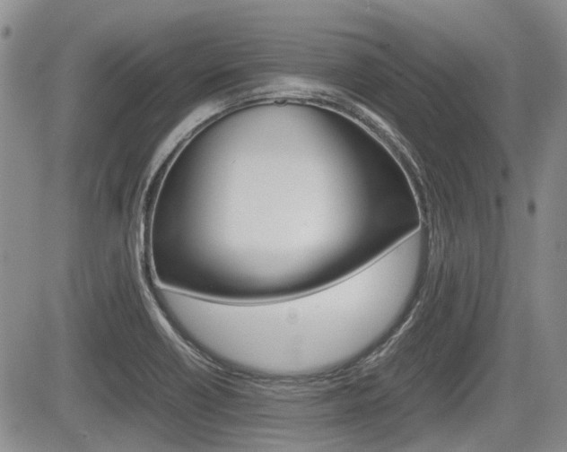 X0000085751418200703160826