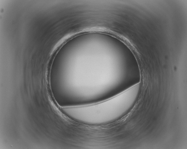 X0000085751422200703160826