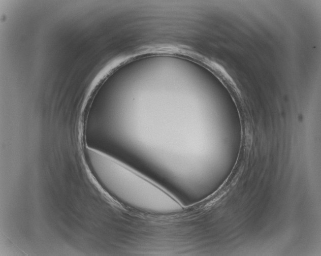 X0000085751424200703160826