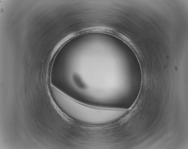 X0000085751426200703160826