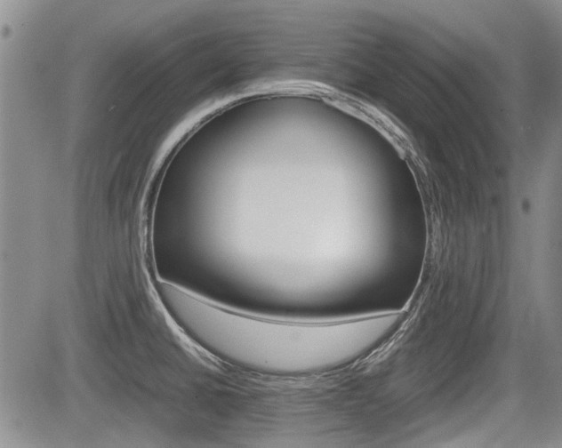 X0000085751430200703160826
