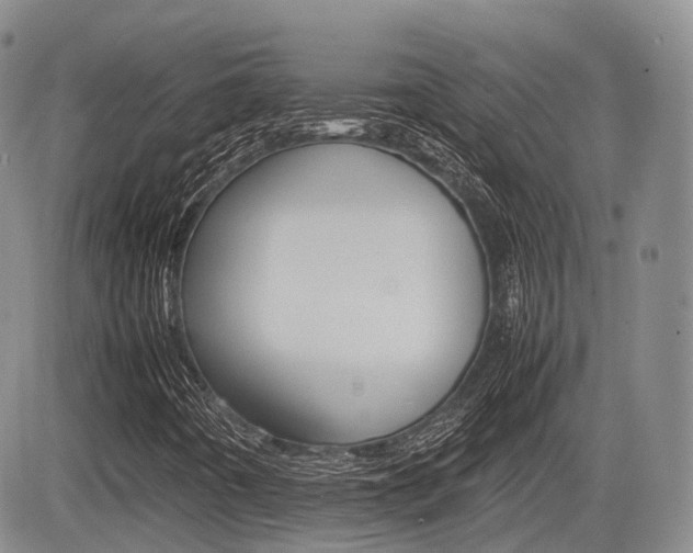 X0000085751442200703160825