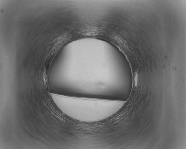 X0000085751444200703160825