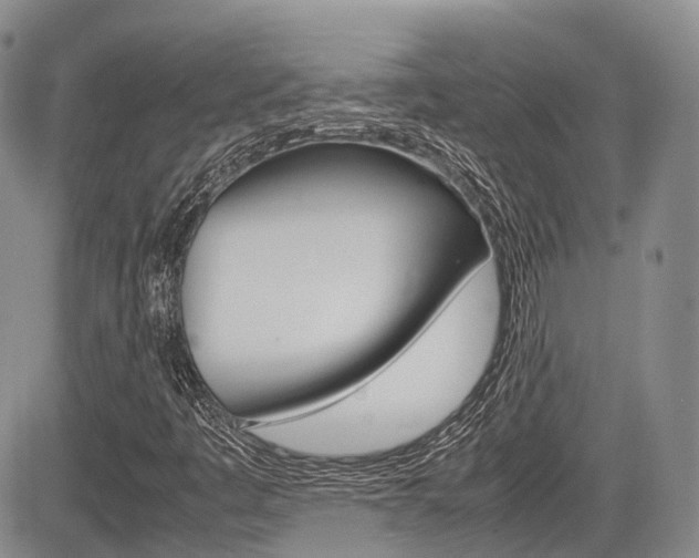 X0000085751445200703160825