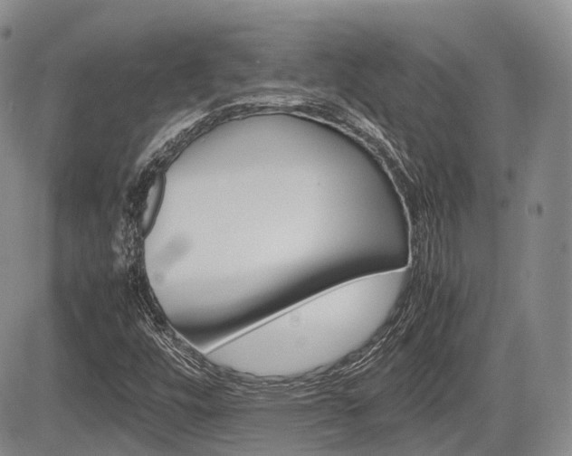 X0000085751448200703160825
