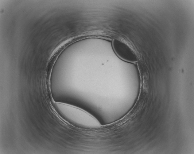 X0000085751452200703160825