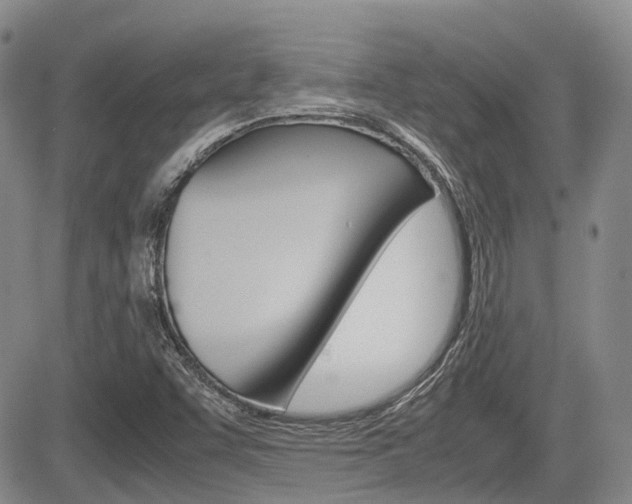 X0000085751455200703160825