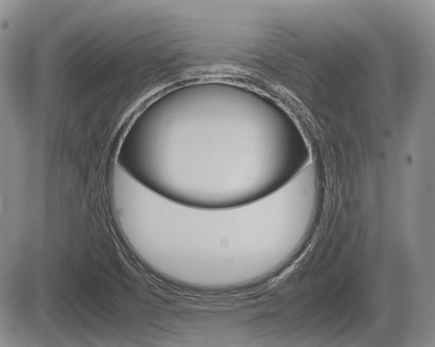 X0000085751457200703160825