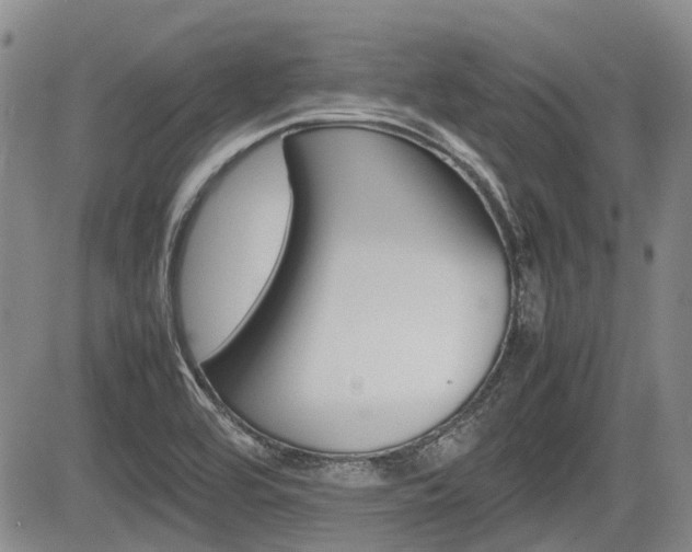 X0000085751464200703160825