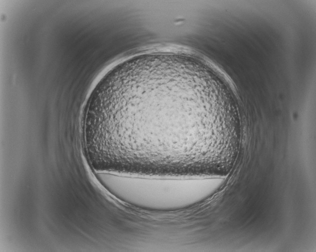 X0000085751483200703160825