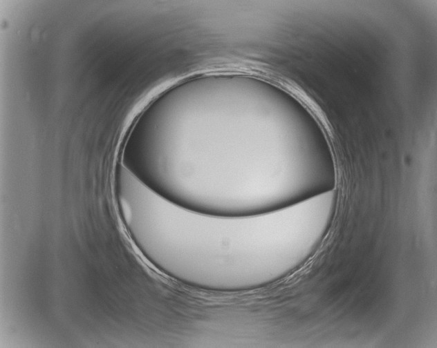 X0000085751485200703160825