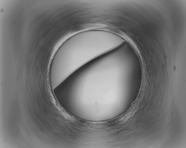 X0000085751488200703160825