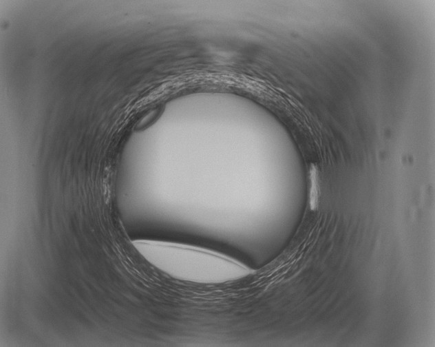 X0000085751491200703160824