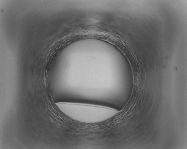 X0000085751493200703160824