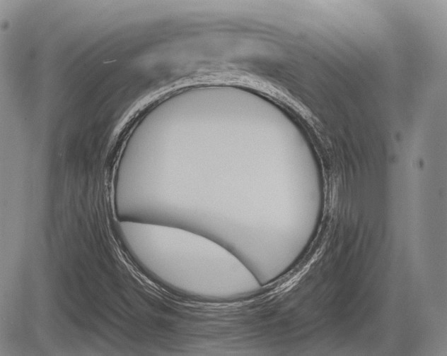 X0000085751498200703160824