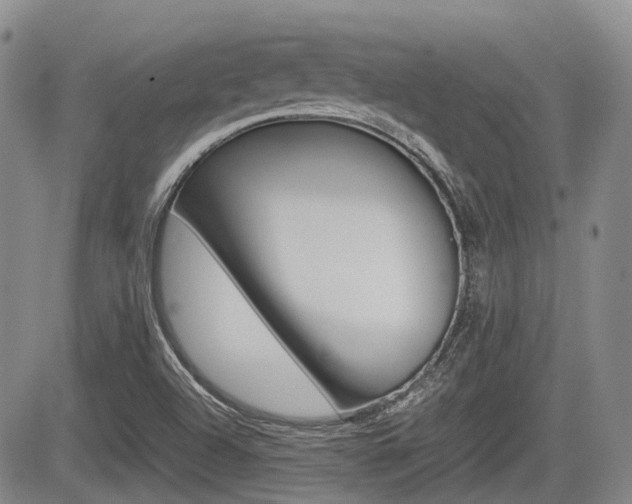 X0000085751504200703160824