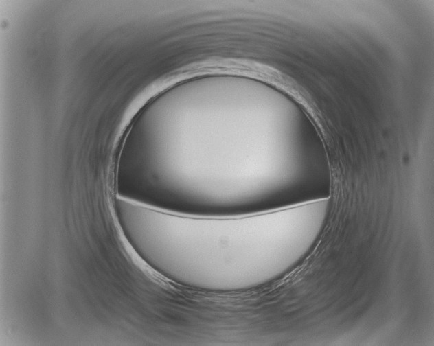 X0000085751531200703160825