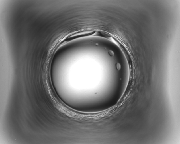X0000085750001200703161105