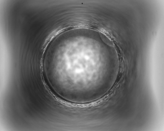 X0000085750002200703161105