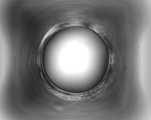 X0000085750004200703161105