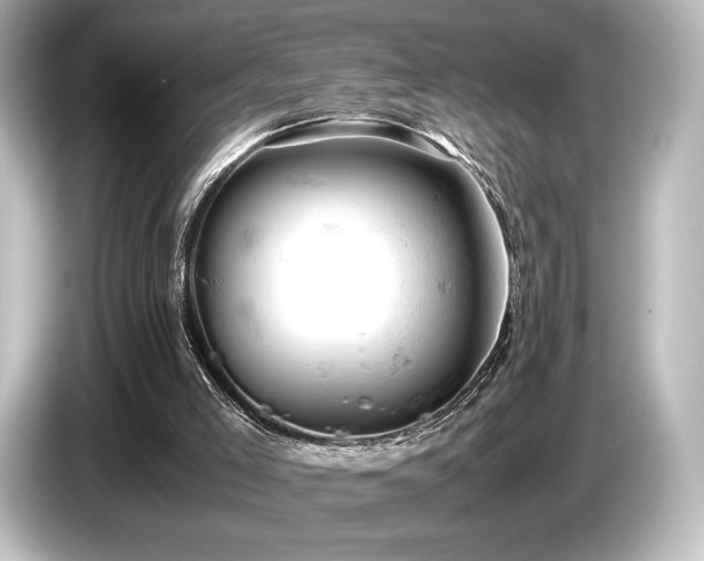 X0000085750005200703161105