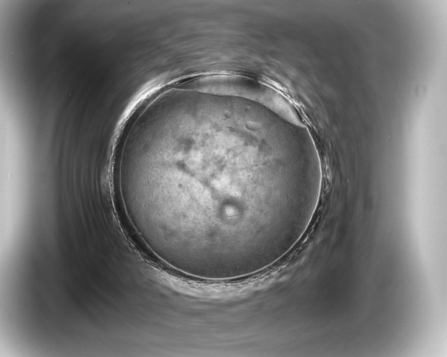 X0000085750006200703161105