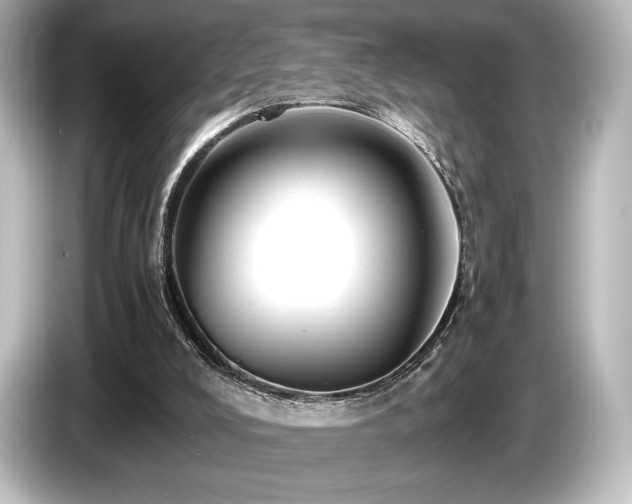 X0000085750008200703161105