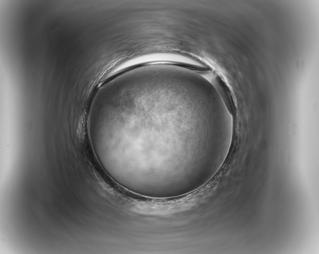 X0000085750009200703161105