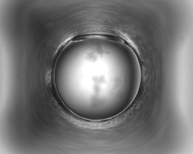 X0000085750010200703161105