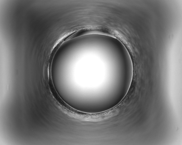X0000085750011200703161105