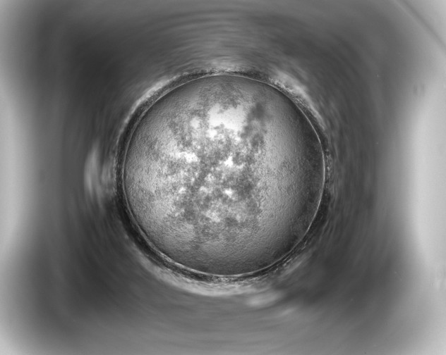 X0000085750012200703161105