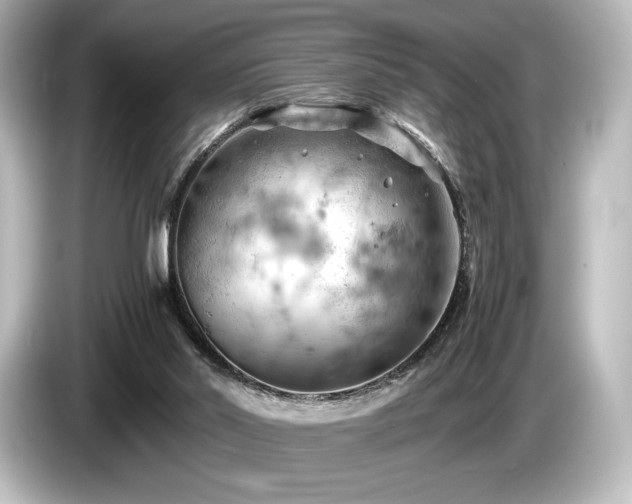 X0000085750014200703161105