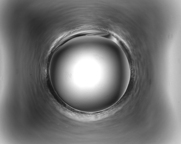 X0000085750015200703161105