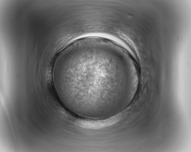 X0000085750017200703161105
