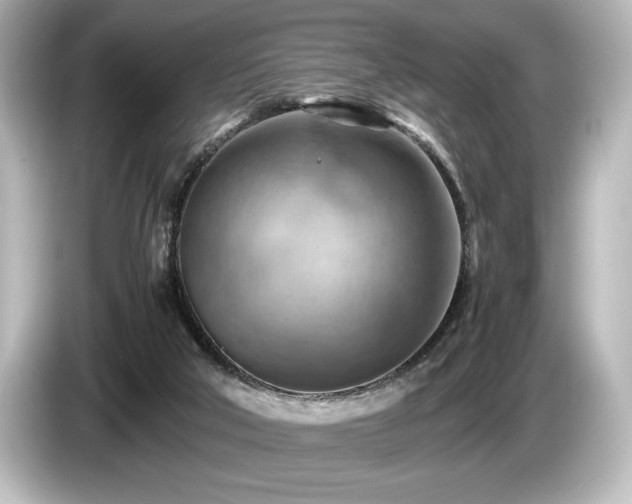 X0000085750018200703161105