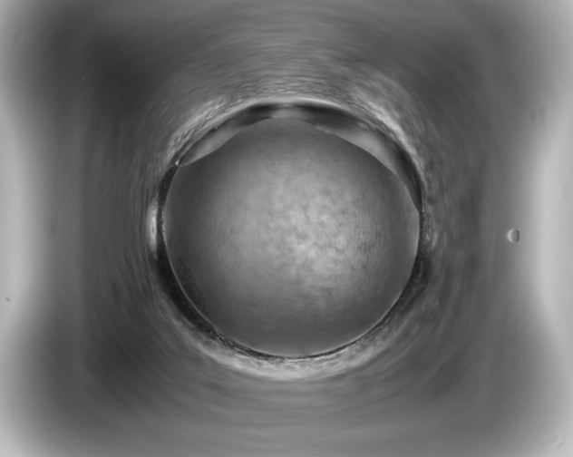 X0000085750019200703161105