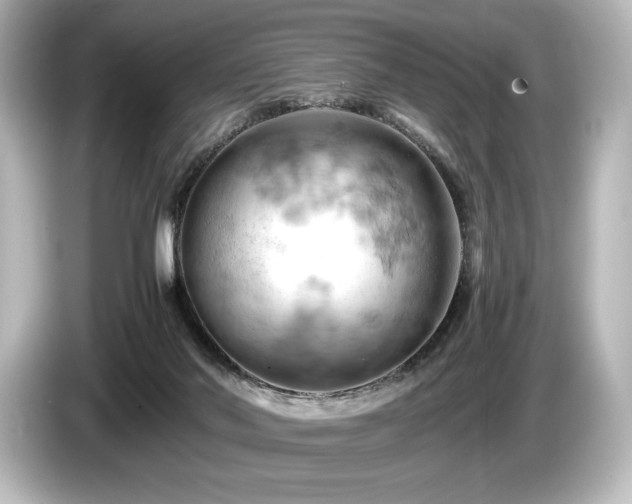 X0000085750022200703161105
