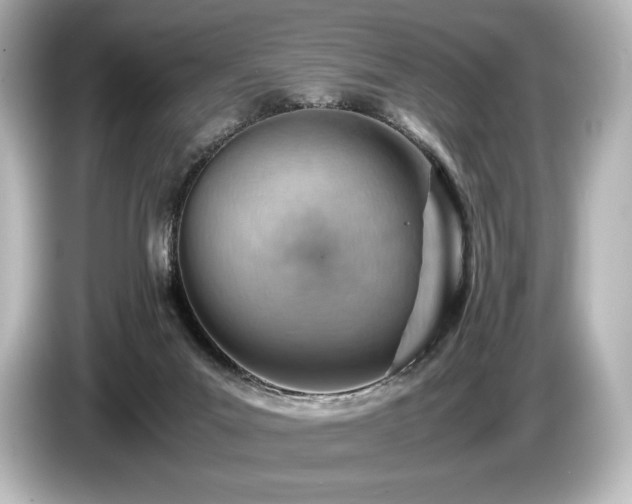 X0000085750023200703161105