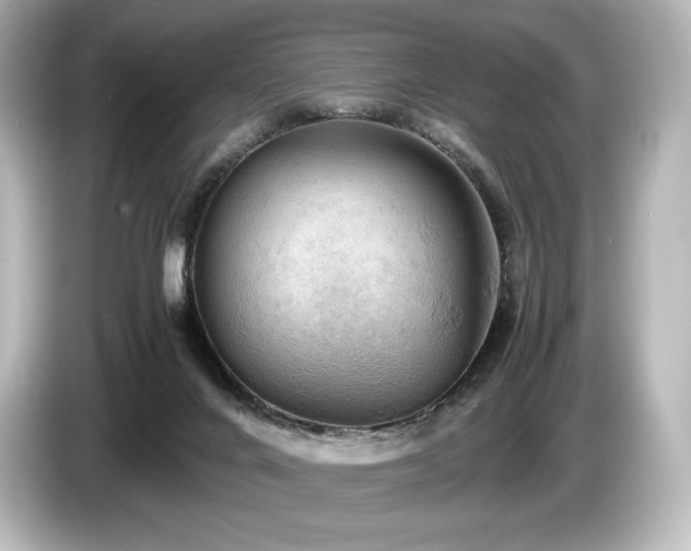 X0000085750024200703161105