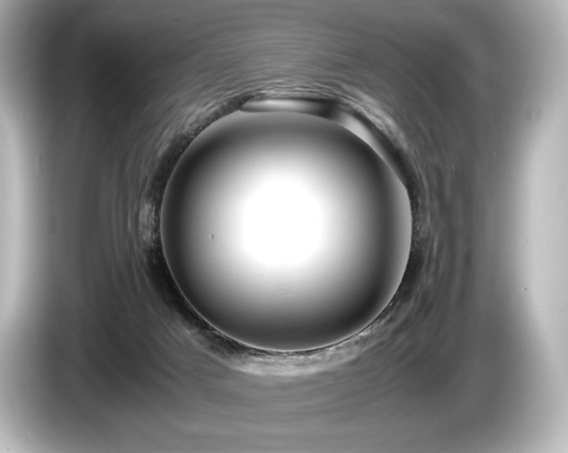 X0000085750025200703161105