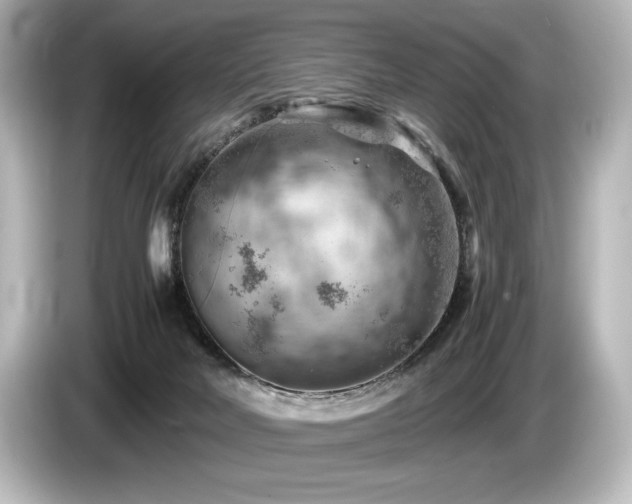 X0000085750026200703161105