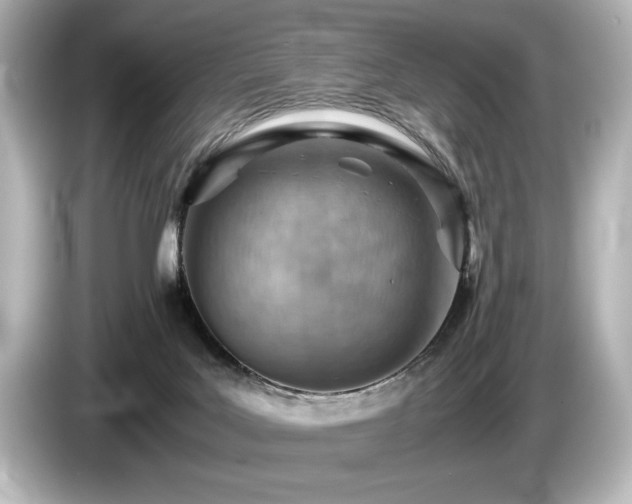 X0000085750027200703161105