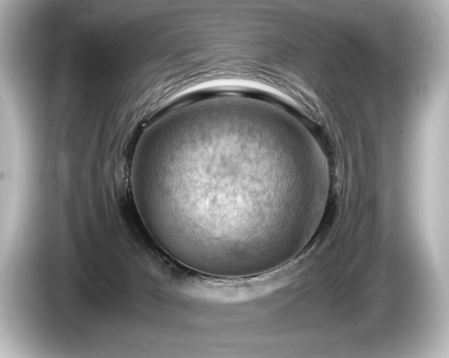X0000085750029200703161105