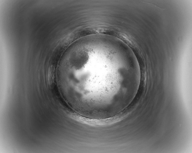 X0000085750030200703161105
