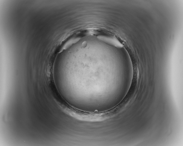 X0000085750032200703161105