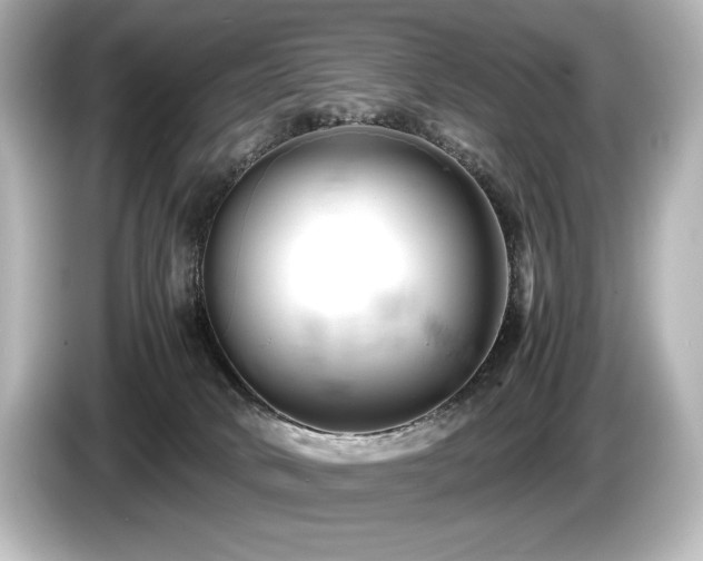 X0000085750034200703161105